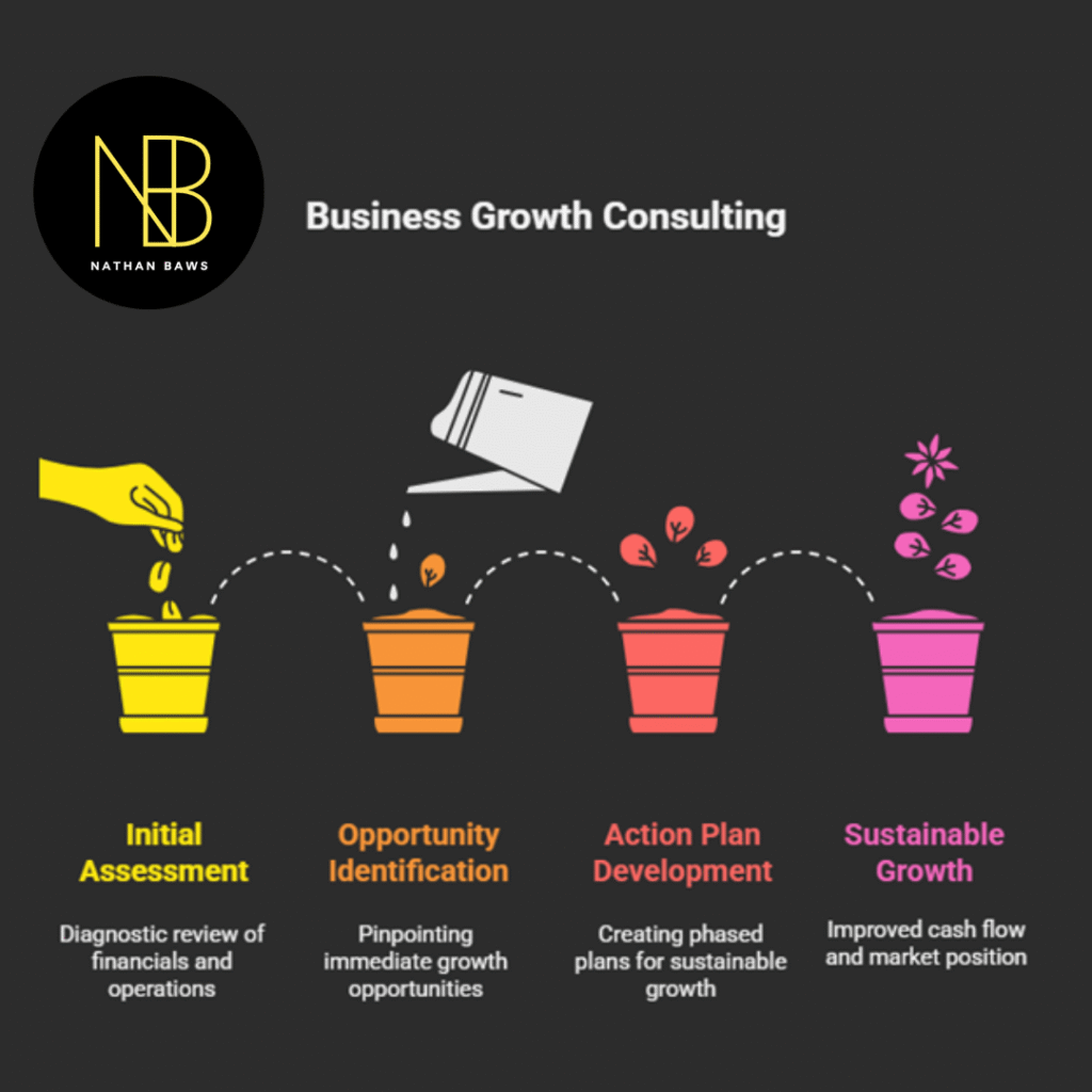 Business Growth Consultant